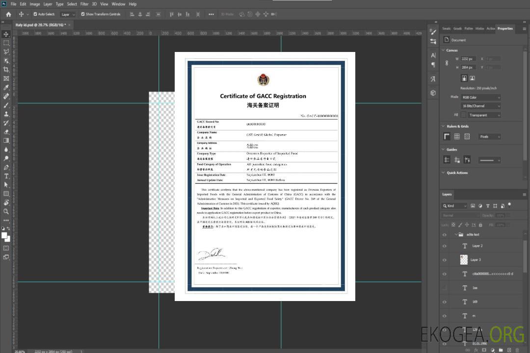 Turquie Certificat d'enregistrement GACC Échantillon PSD template Turquie Certificat d'enregistrement GACC Échantillon PSD template